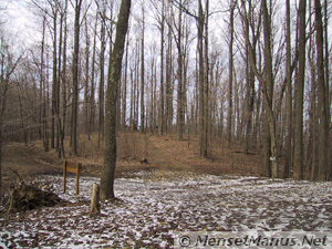 Tub Springs Camp Site