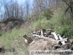 Big wood pile