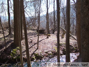 Foundation, Trees and Creek