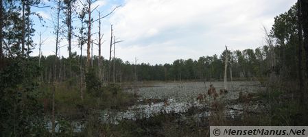 Salmon Site Pond