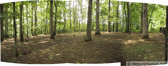 Wheat Community African Burial Ground