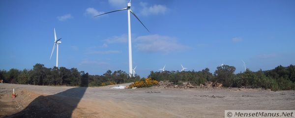 windmills, shadow and flowers